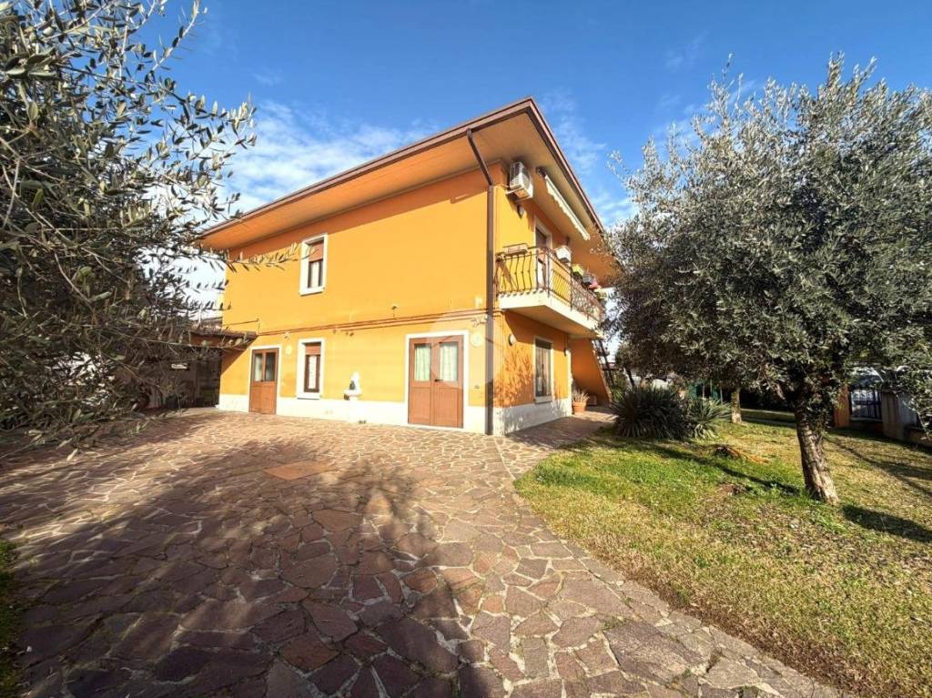 immagine annuncio 6 di 15