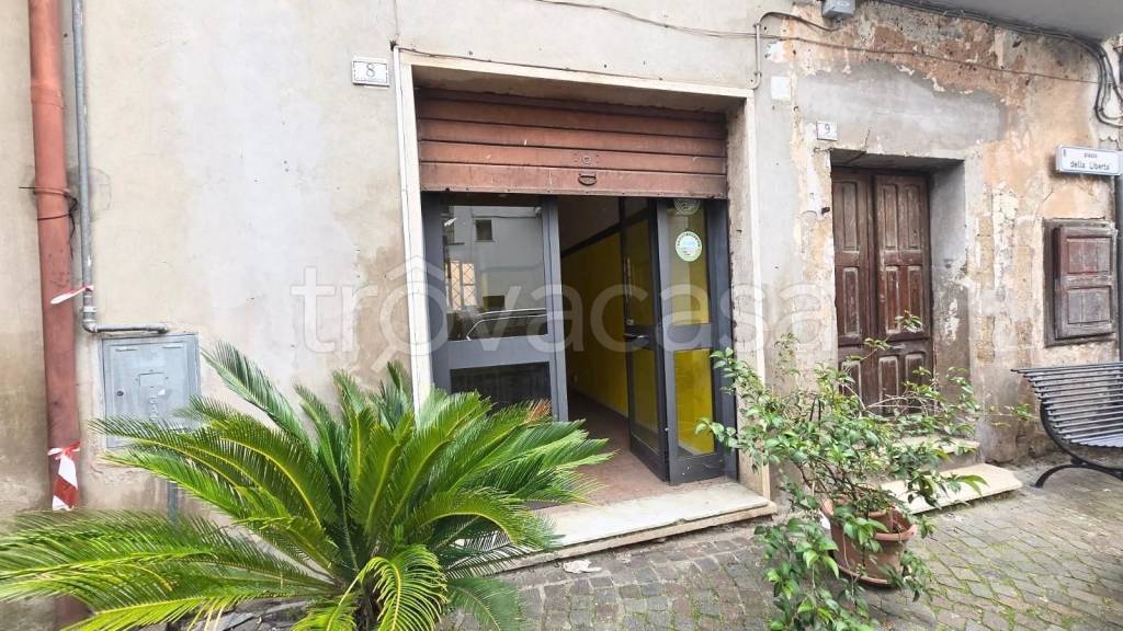 immagine annuncio 7 di 8