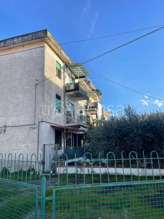 immagine annuncio 10 di 12