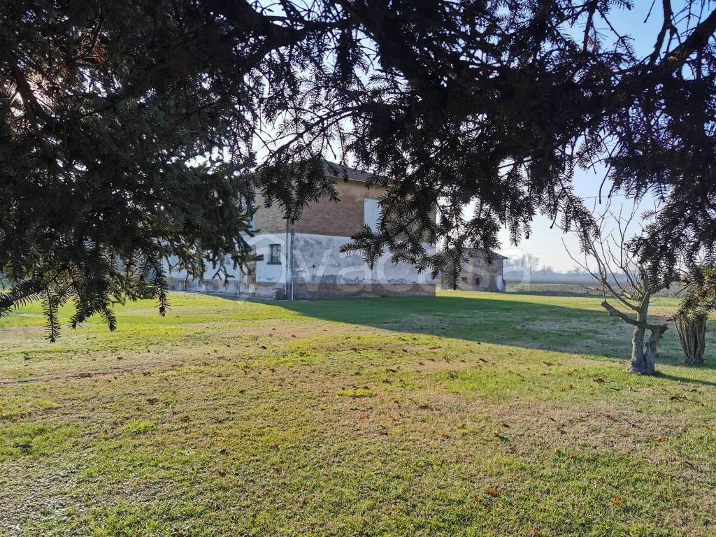 immagine annuncio 3 di 11