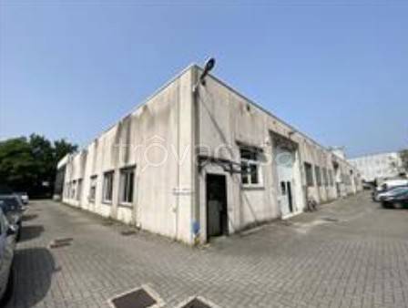 immagine annuncio 3 di 13