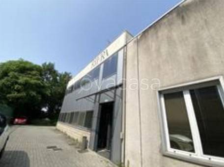 immagine annuncio 4 di 13