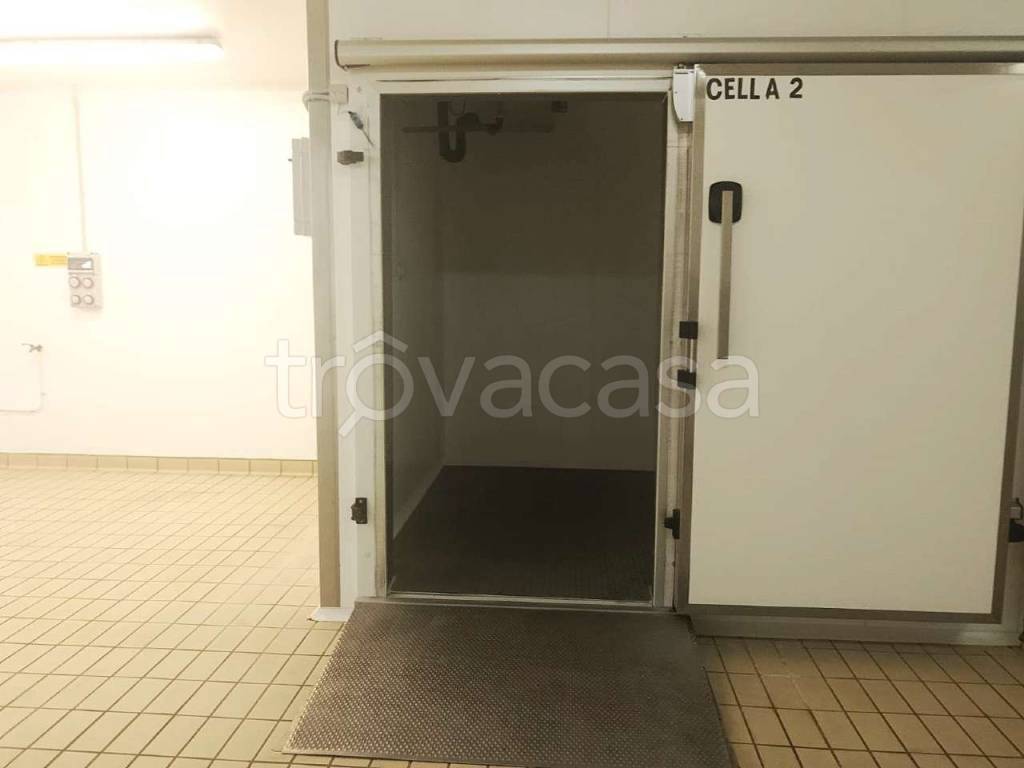 immagine annuncio 4 di 12