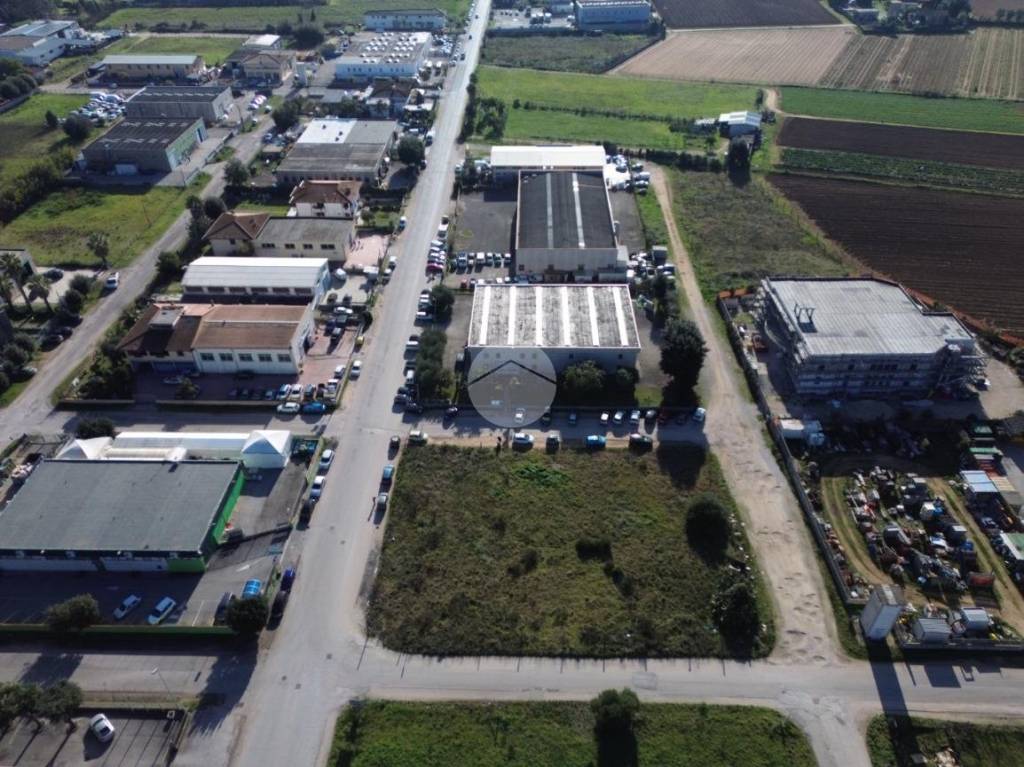 immagine annuncio 3 di 8