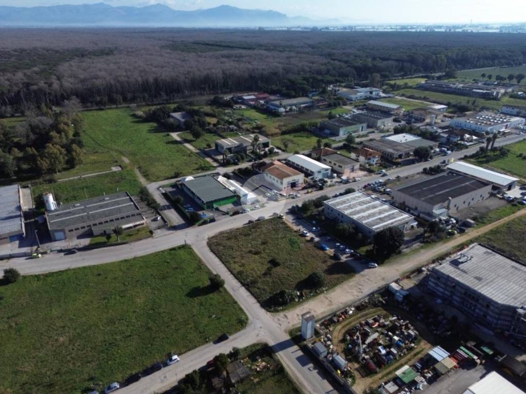 immagine annuncio 4 di 8