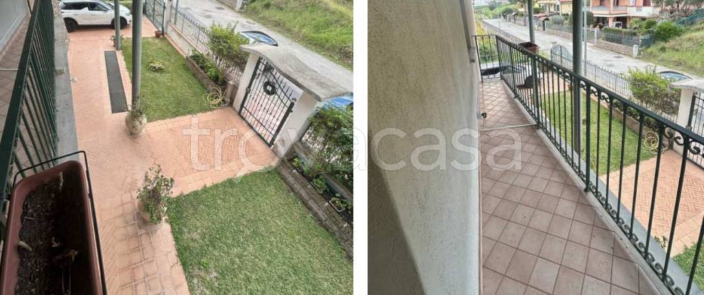 immagine annuncio 9 di 14