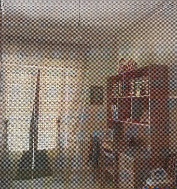 immagine annuncio 9 di 14