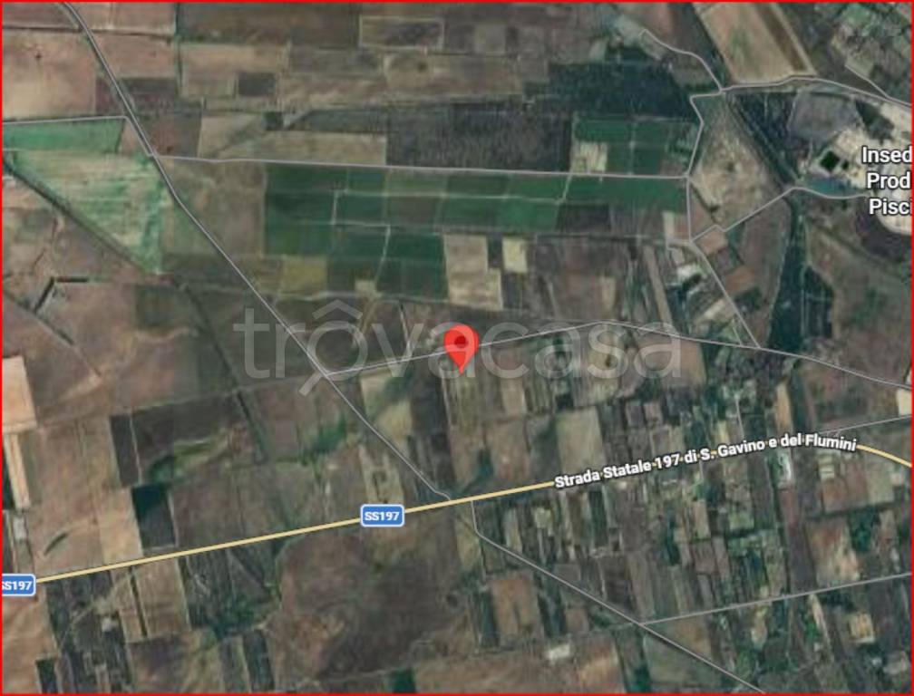 immagine annuncio 11 di 12