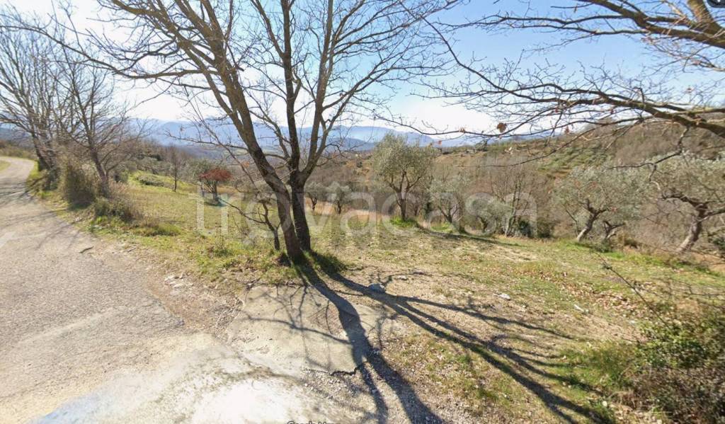 immagine annuncio 5 di 8