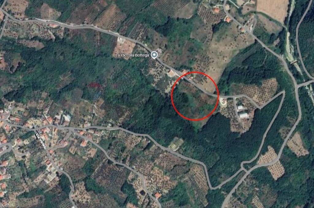 immagine annuncio 6 di 8