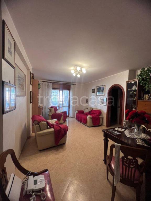 immagine annuncio 2 di 13