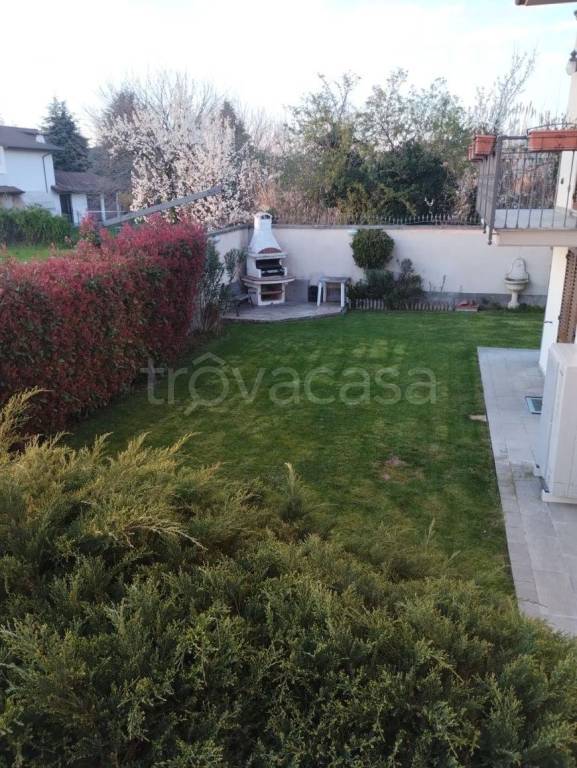 immagine annuncio 9 di 15