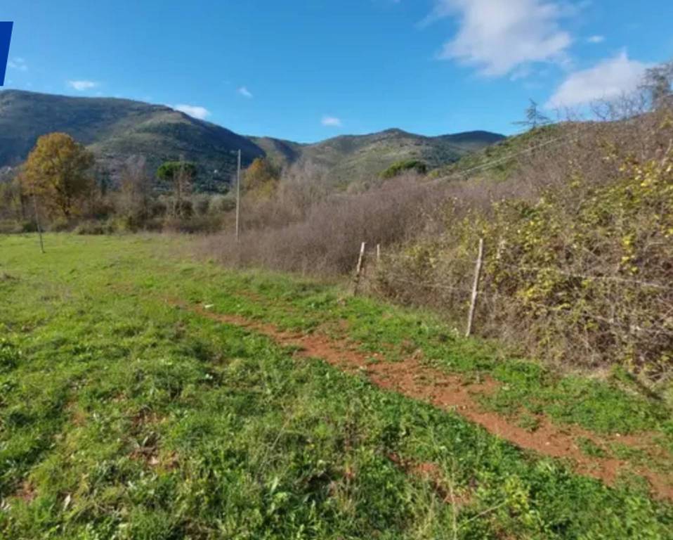 immagine annuncio 8 di 11