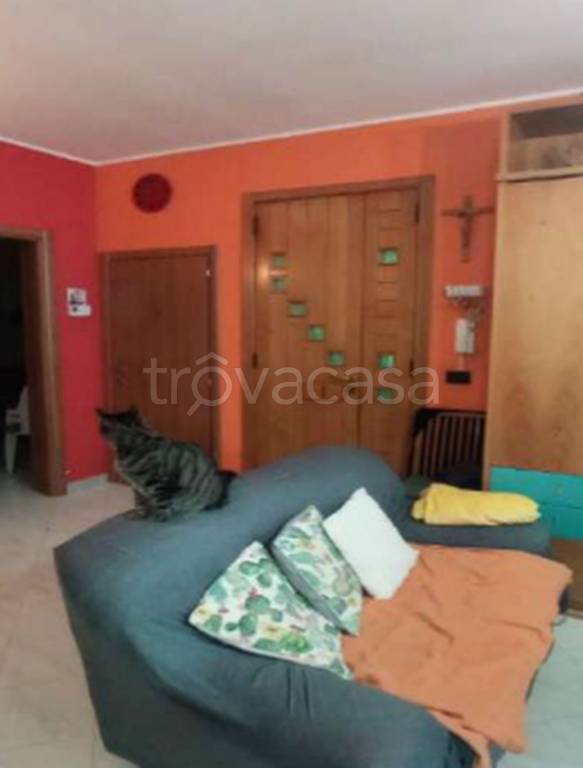 immagine annuncio 9 di 11