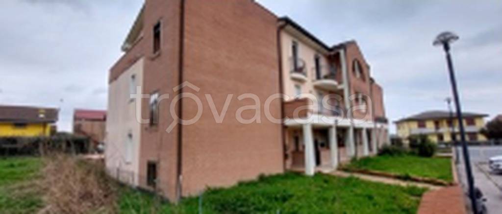 immagine annuncio 7 di 11