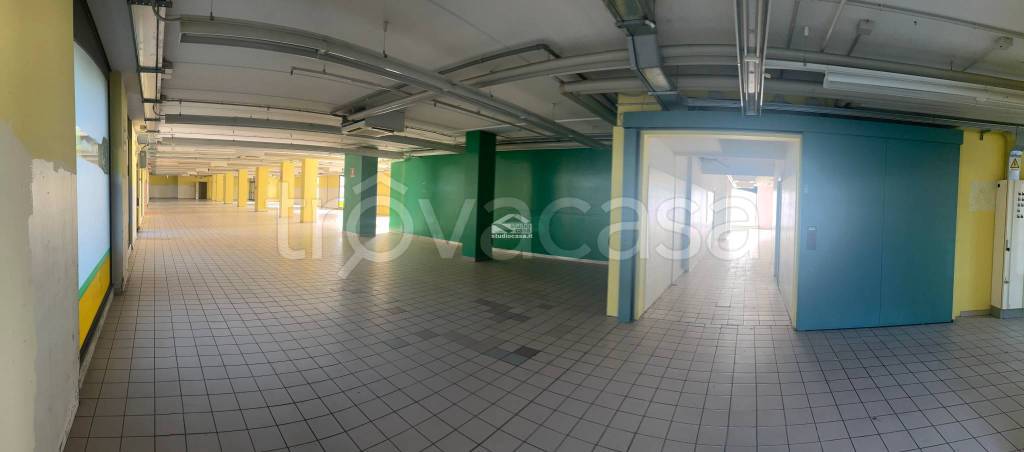 immagine annuncio 5 di 9