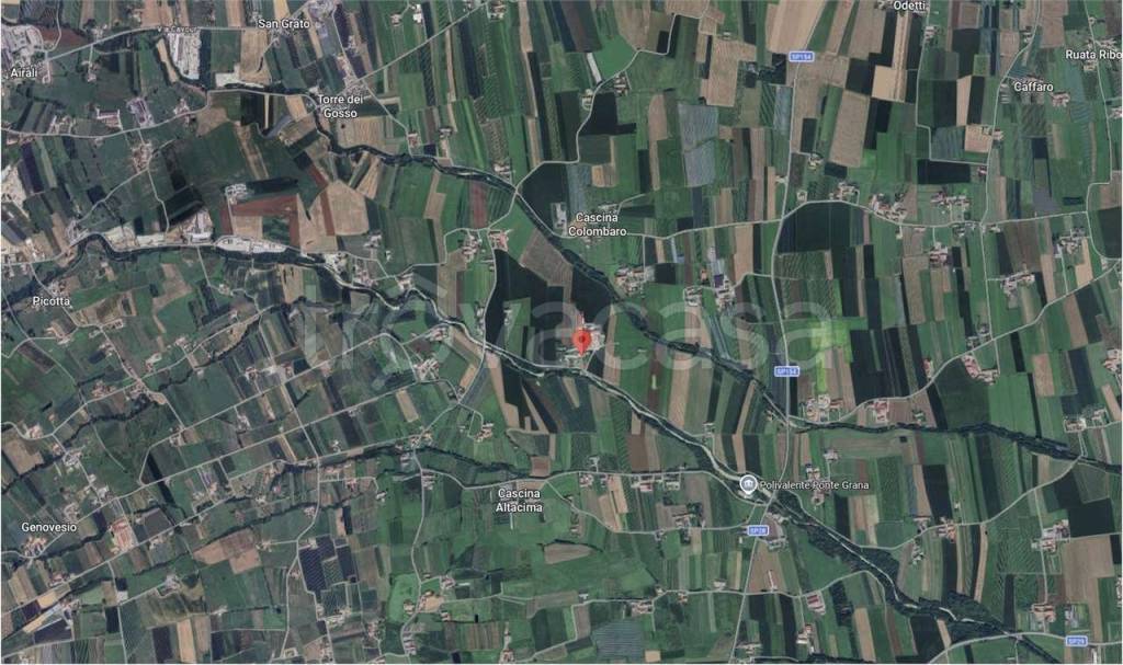 immagine annuncio 2 di 13