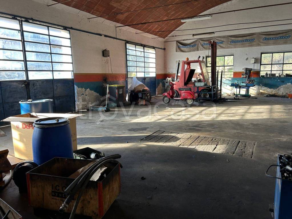 immagine annuncio 6 di 13