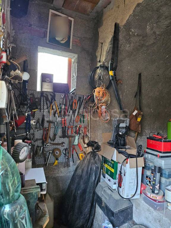 immagine annuncio 12 di 13