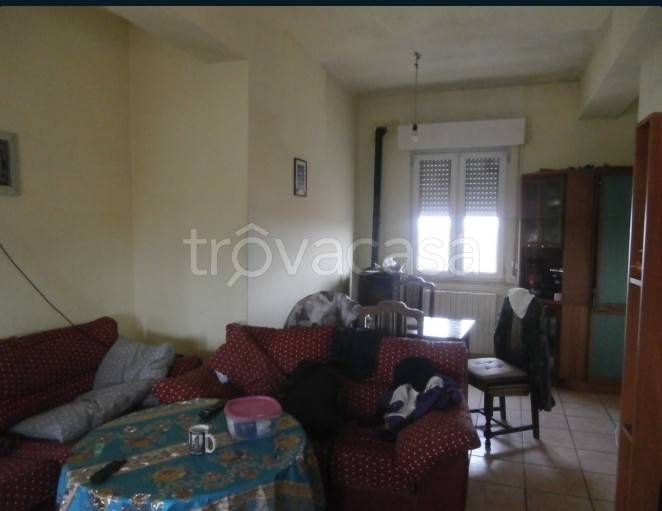 immagine annuncio 5 di 7