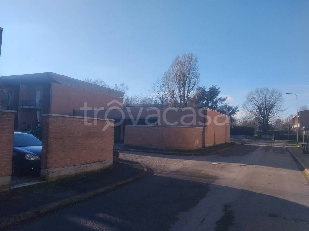 immagine annuncio 9 di 15