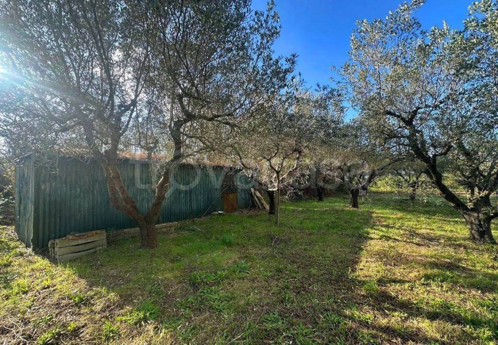 immagine annuncio 3 di 6