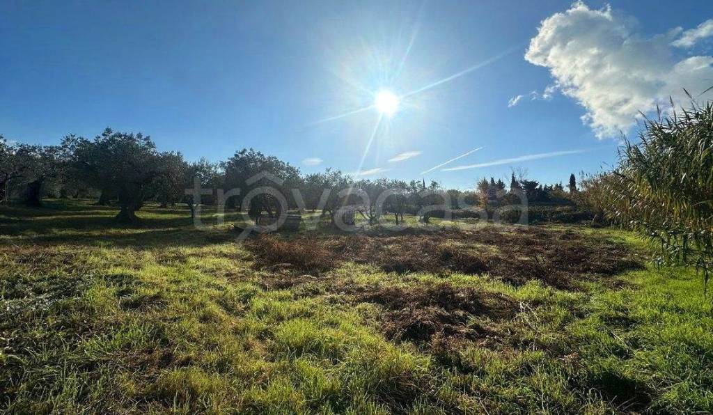 immagine annuncio 5 di 6