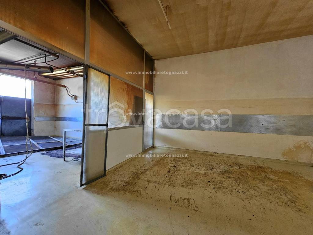 immagine annuncio 8 di 11