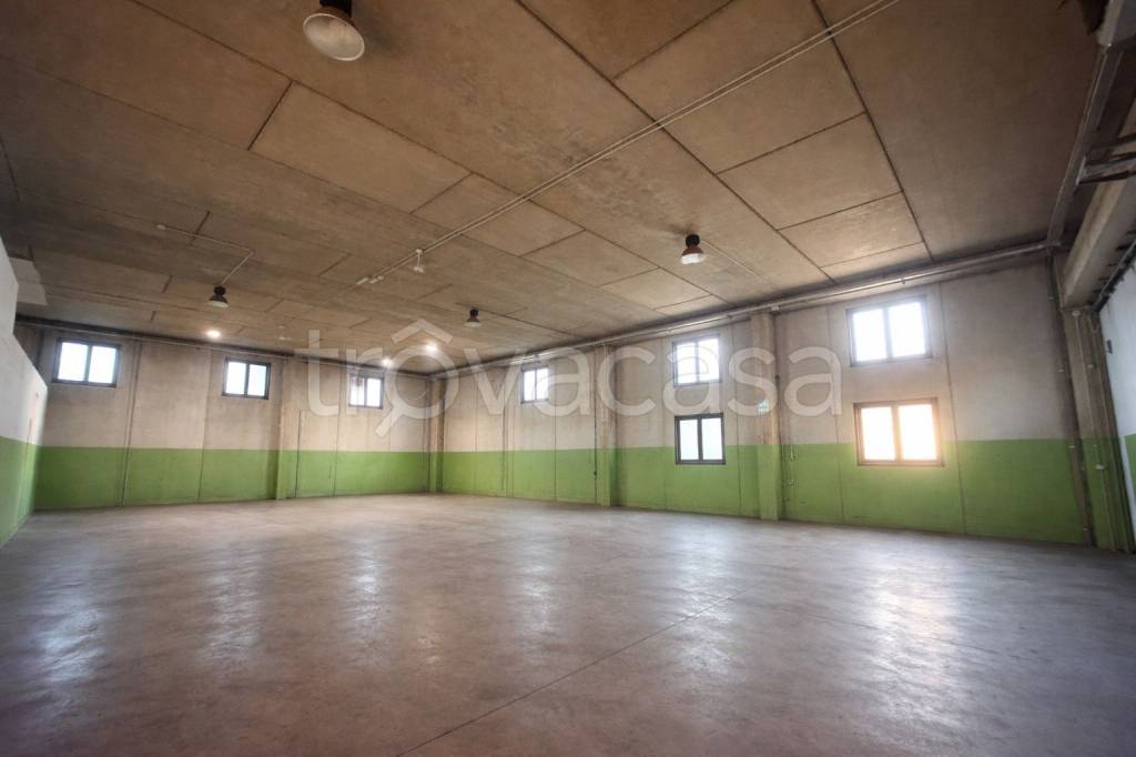 immagine annuncio 1 di 6