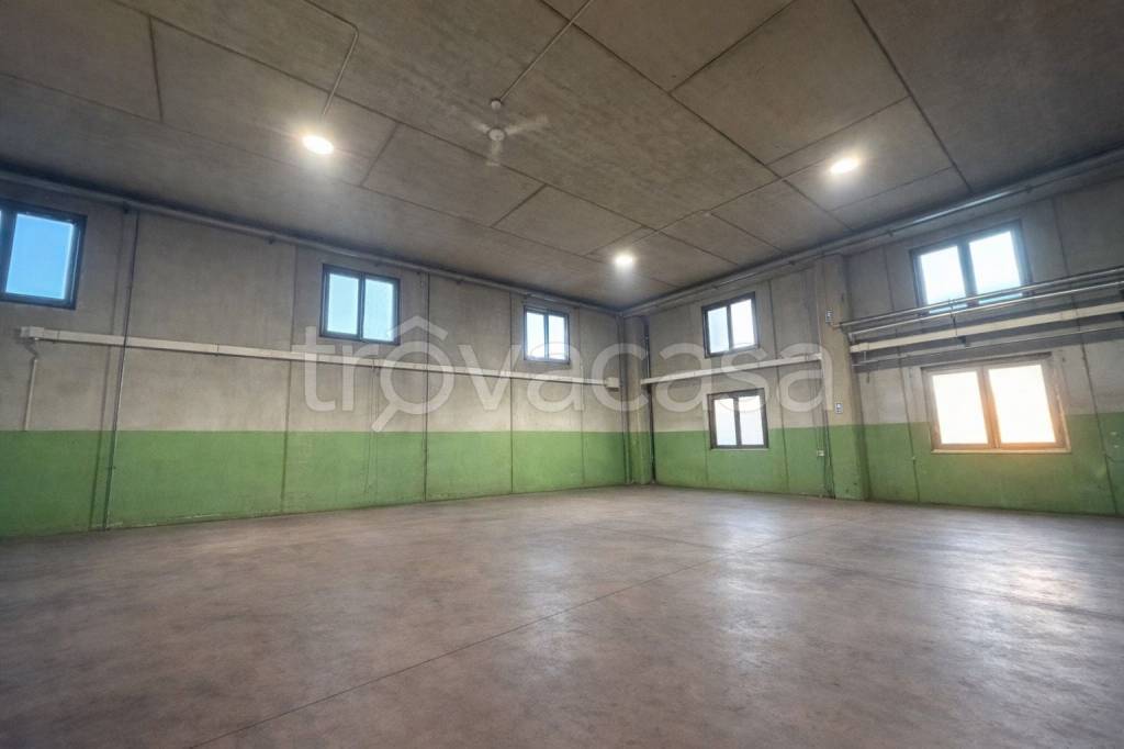 immagine annuncio 2 di 6