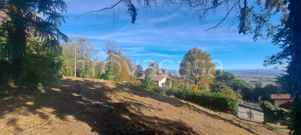 immagine annuncio 3 di 6