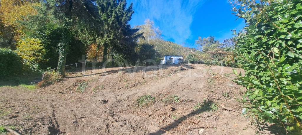 immagine annuncio 4 di 6