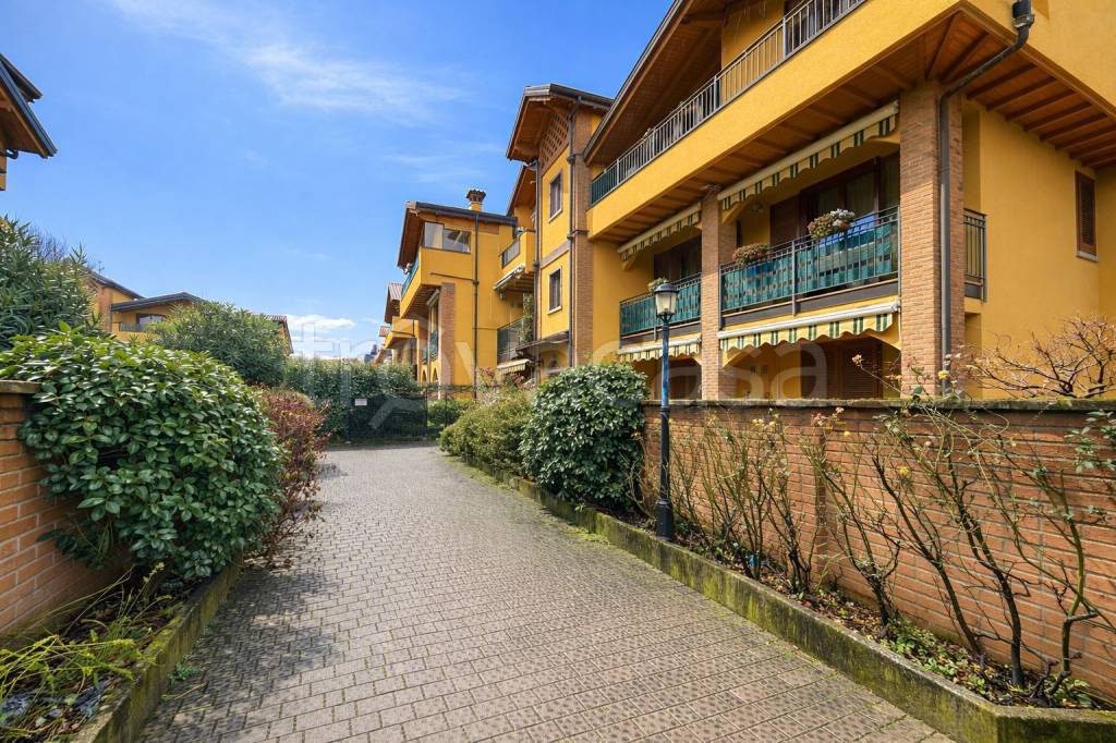 immagine annuncio 2 di 15