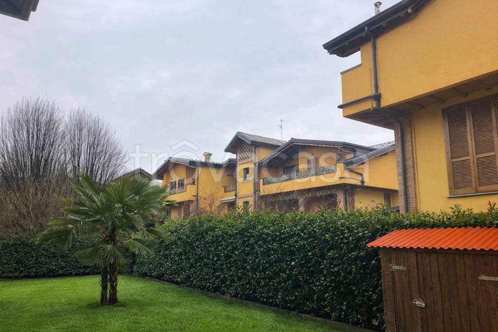 immagine annuncio 3 di 15