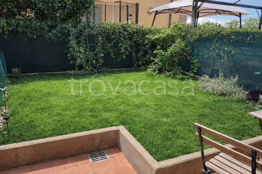 immagine annuncio 11 di 15