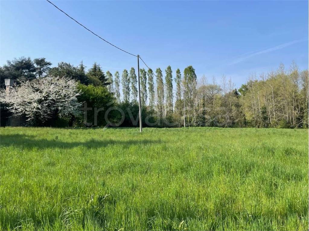 immagine annuncio 3 di 13