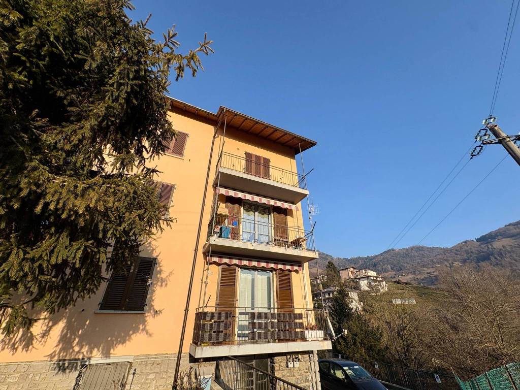 immagine annuncio 9 di 14