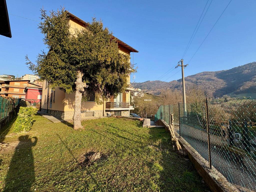 immagine annuncio 8 di 14