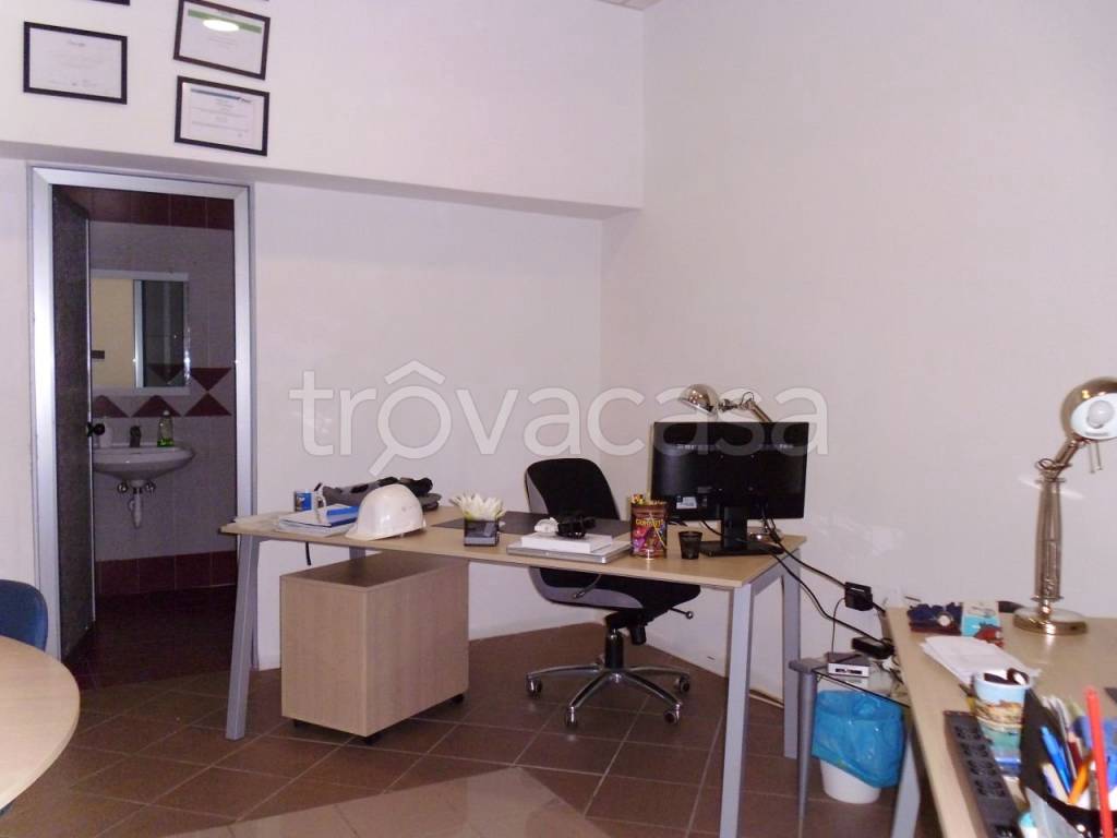 immagine annuncio 3 di 14