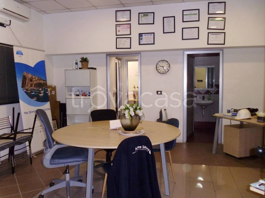 immagine annuncio 4 di 14