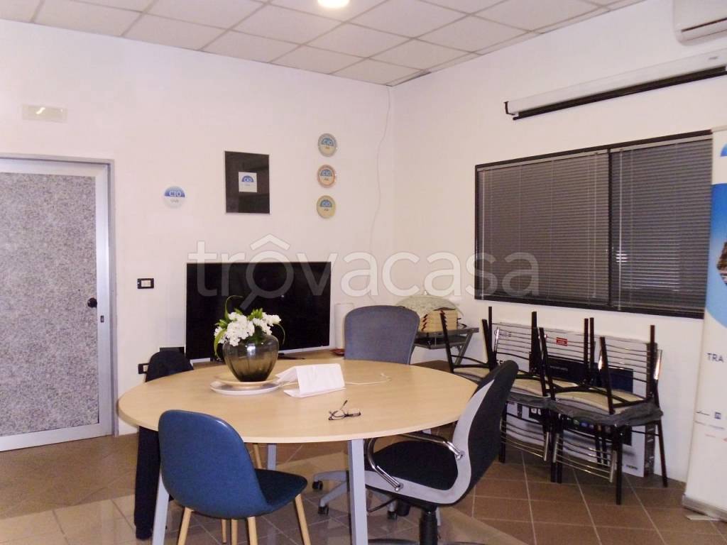 immagine annuncio 9 di 14