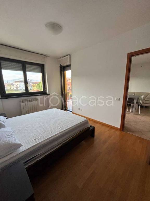 immagine annuncio 7 di 12