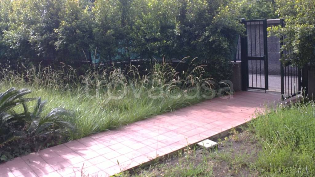 immagine annuncio 3 di 7