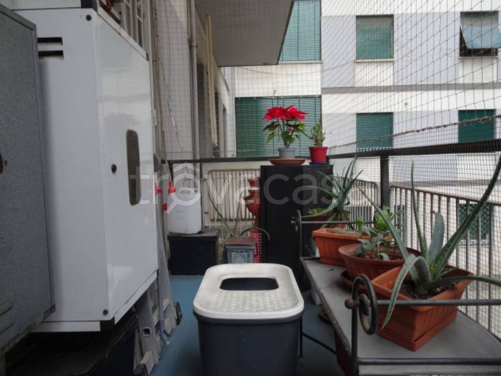 immagine annuncio 11 di 12