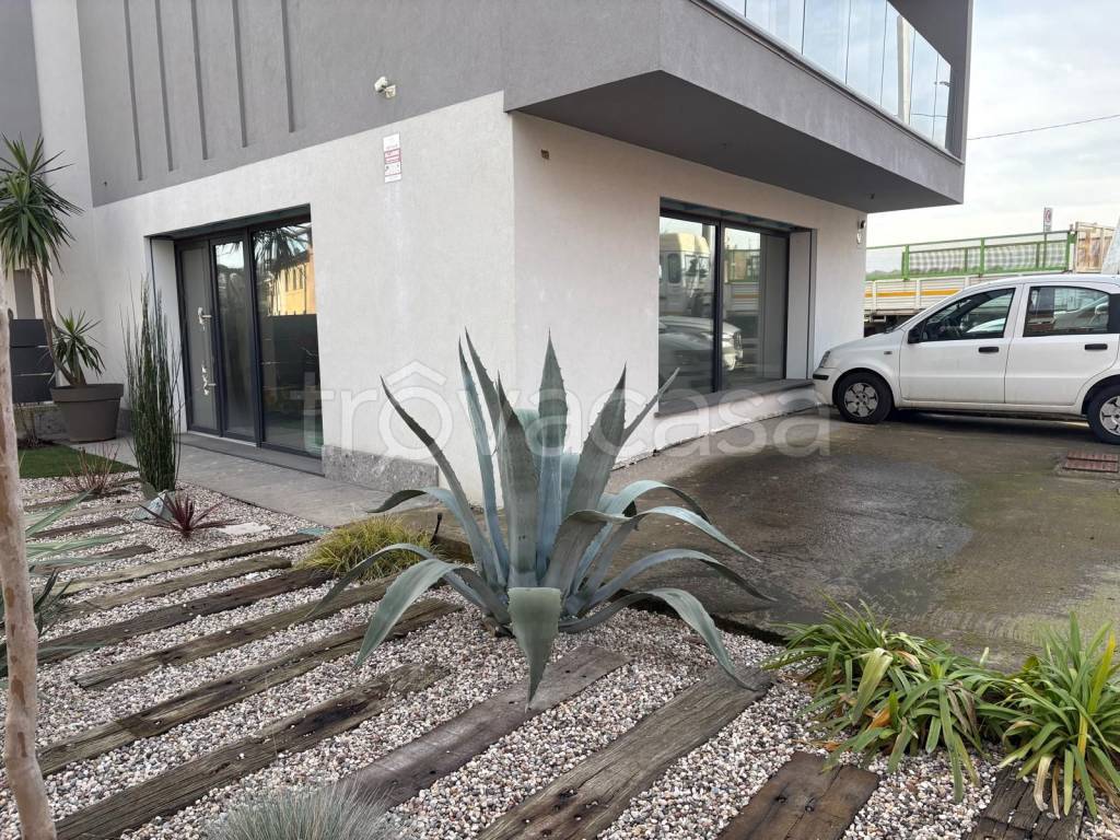 immagine annuncio 5 di 7