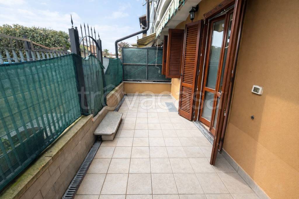 immagine annuncio 9 di 15