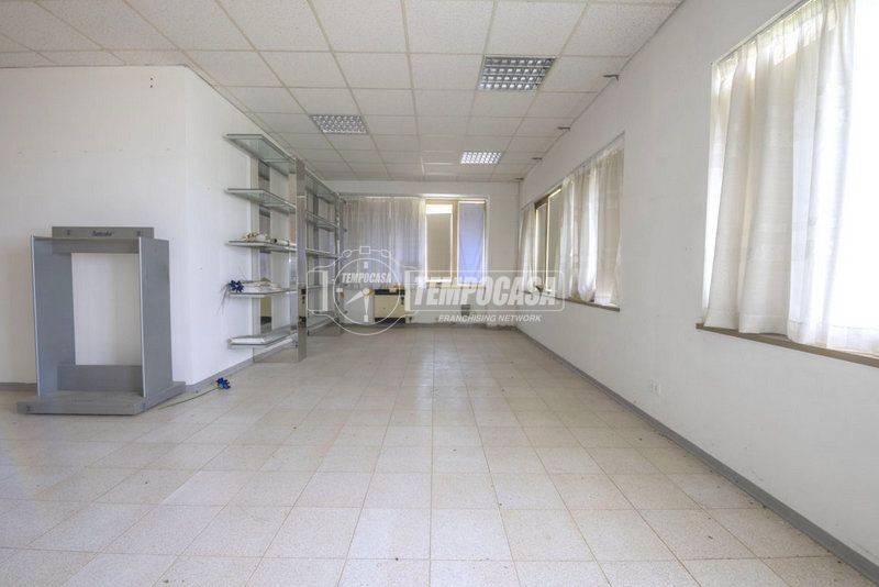 immagine annuncio 6 di 11