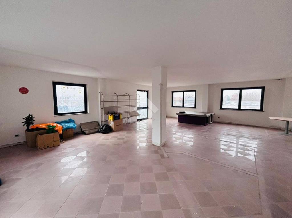 immagine annuncio 6 di 11