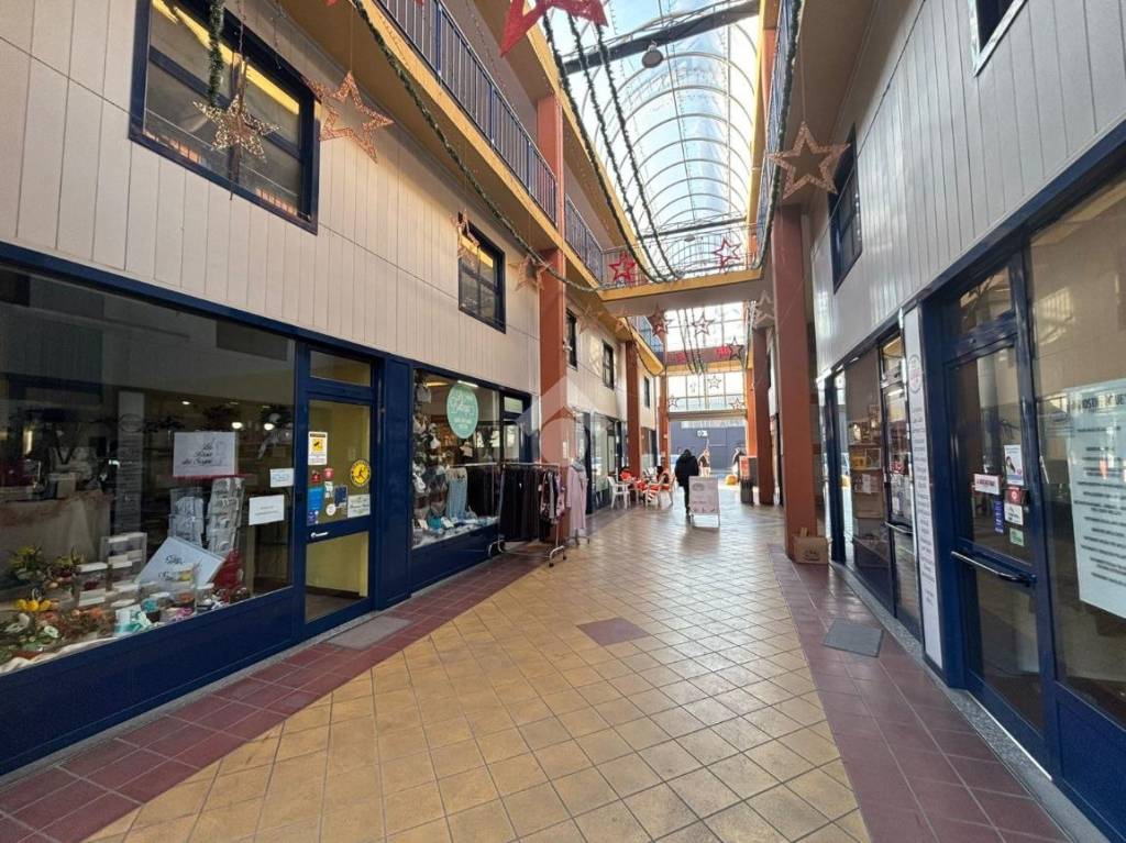 immagine annuncio 3 di 11