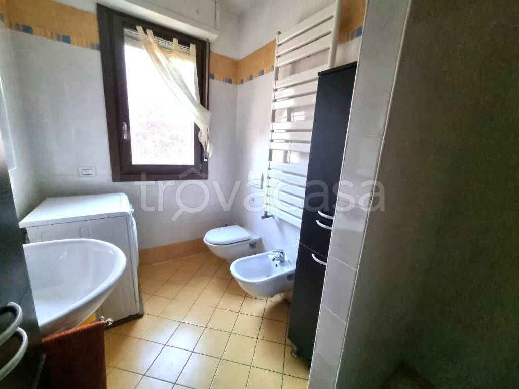 immagine annuncio 9 di 14